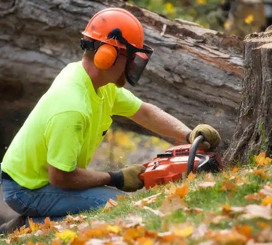 tree services Newburgh Heights